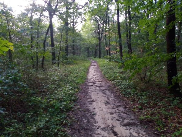 VTT de l’Ouÿe